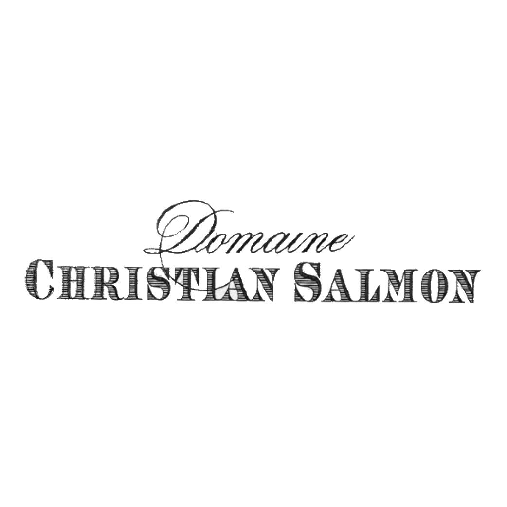 domaine christian salmon Logo