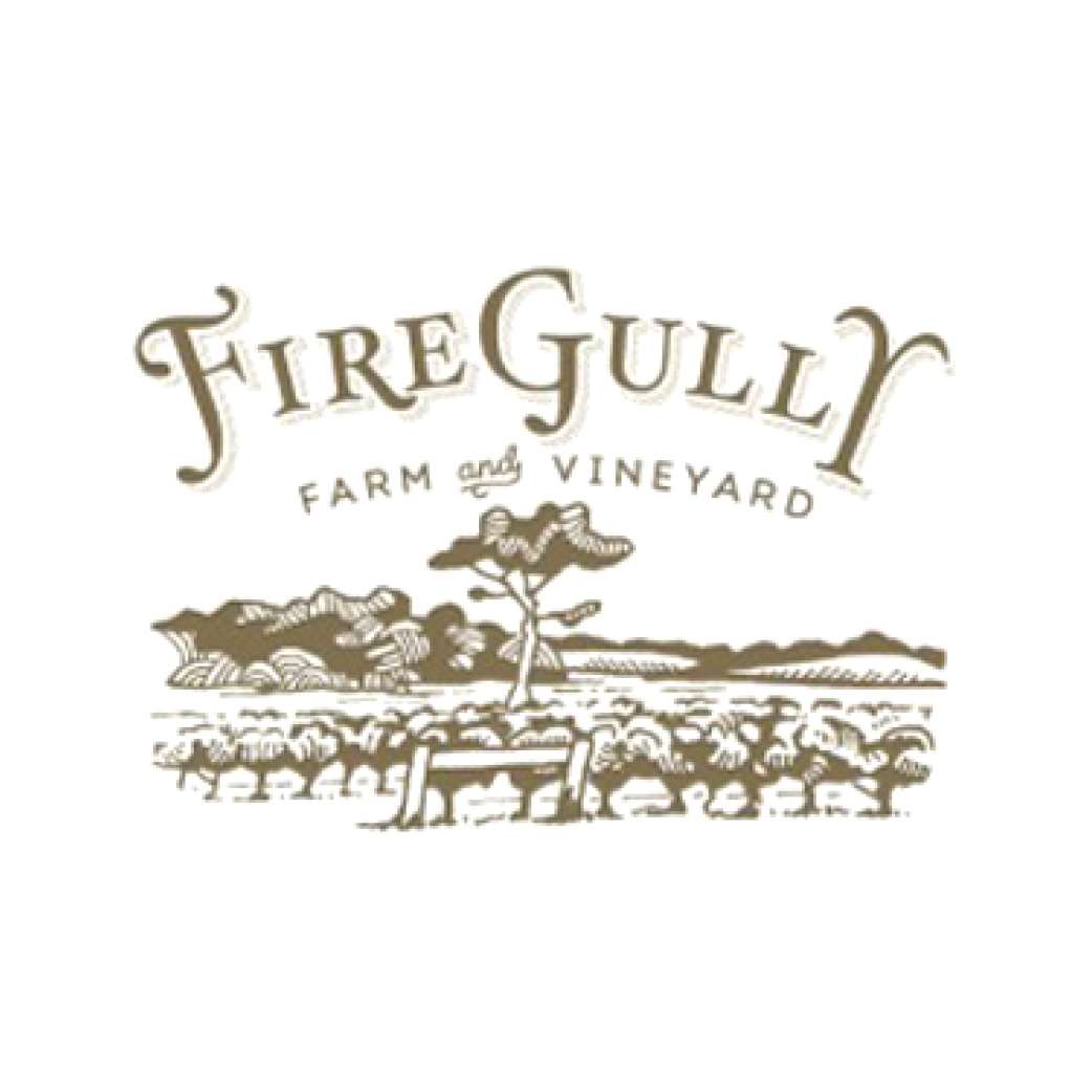 fire gully Logo
