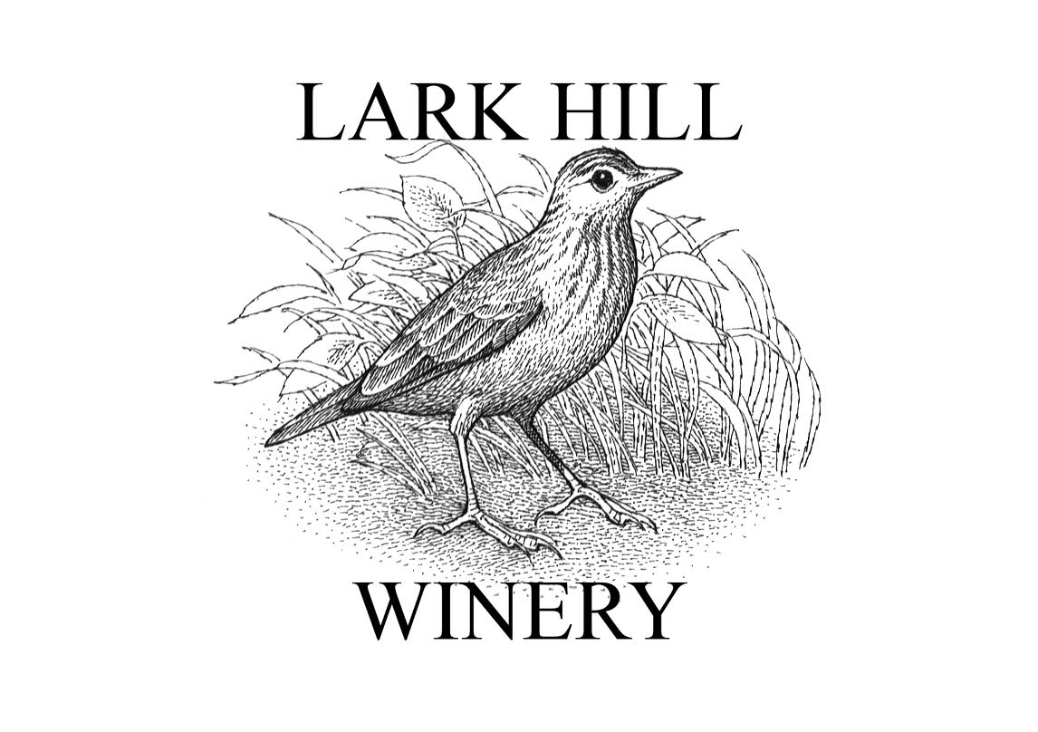 Lark Hill