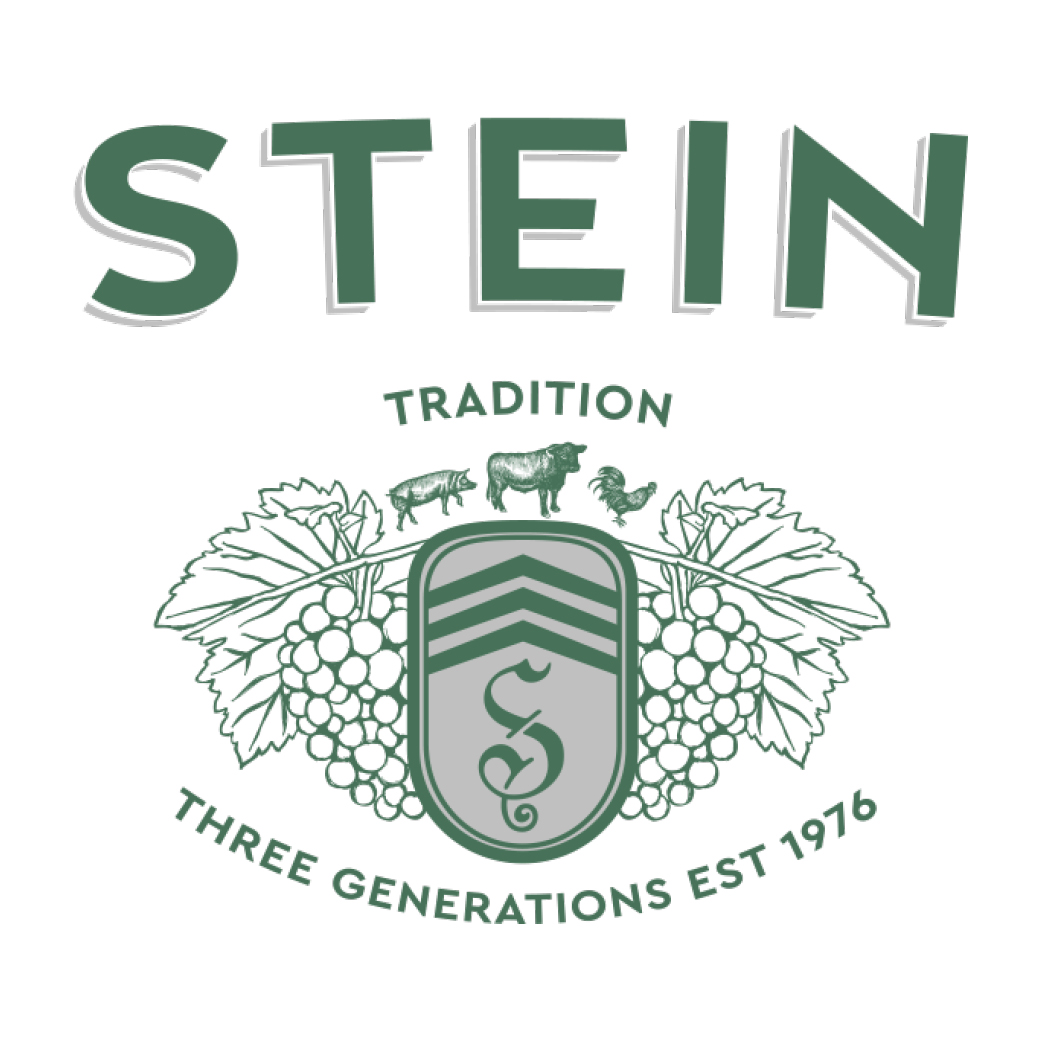 robert stein Logo