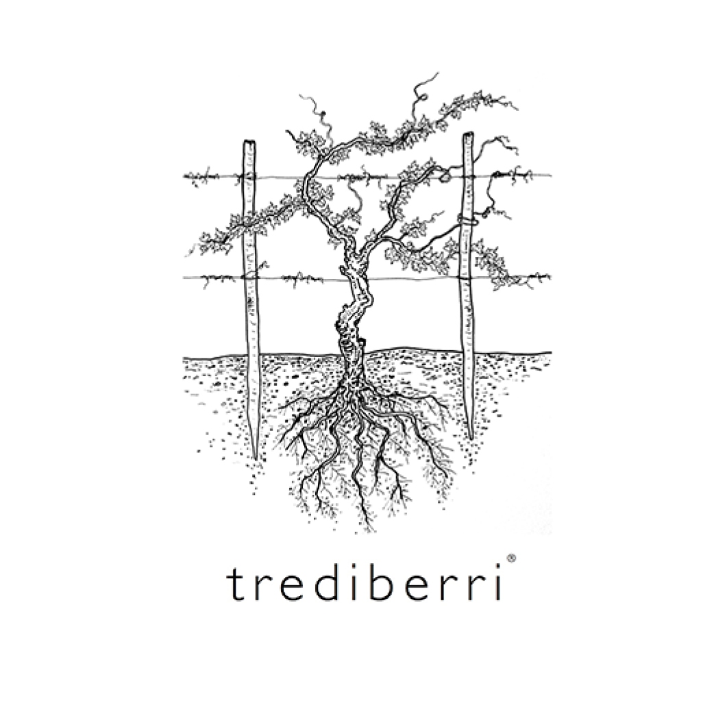 trediberri Logo